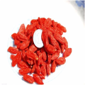 Las mejores bayas de goji de frutos secos chinos de Mongolia Interior